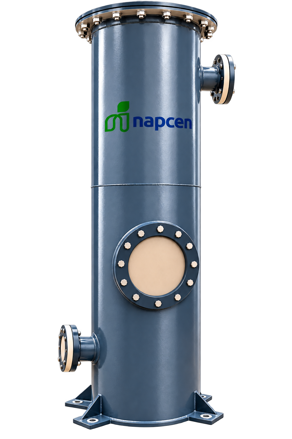 Biogas dry scrubber